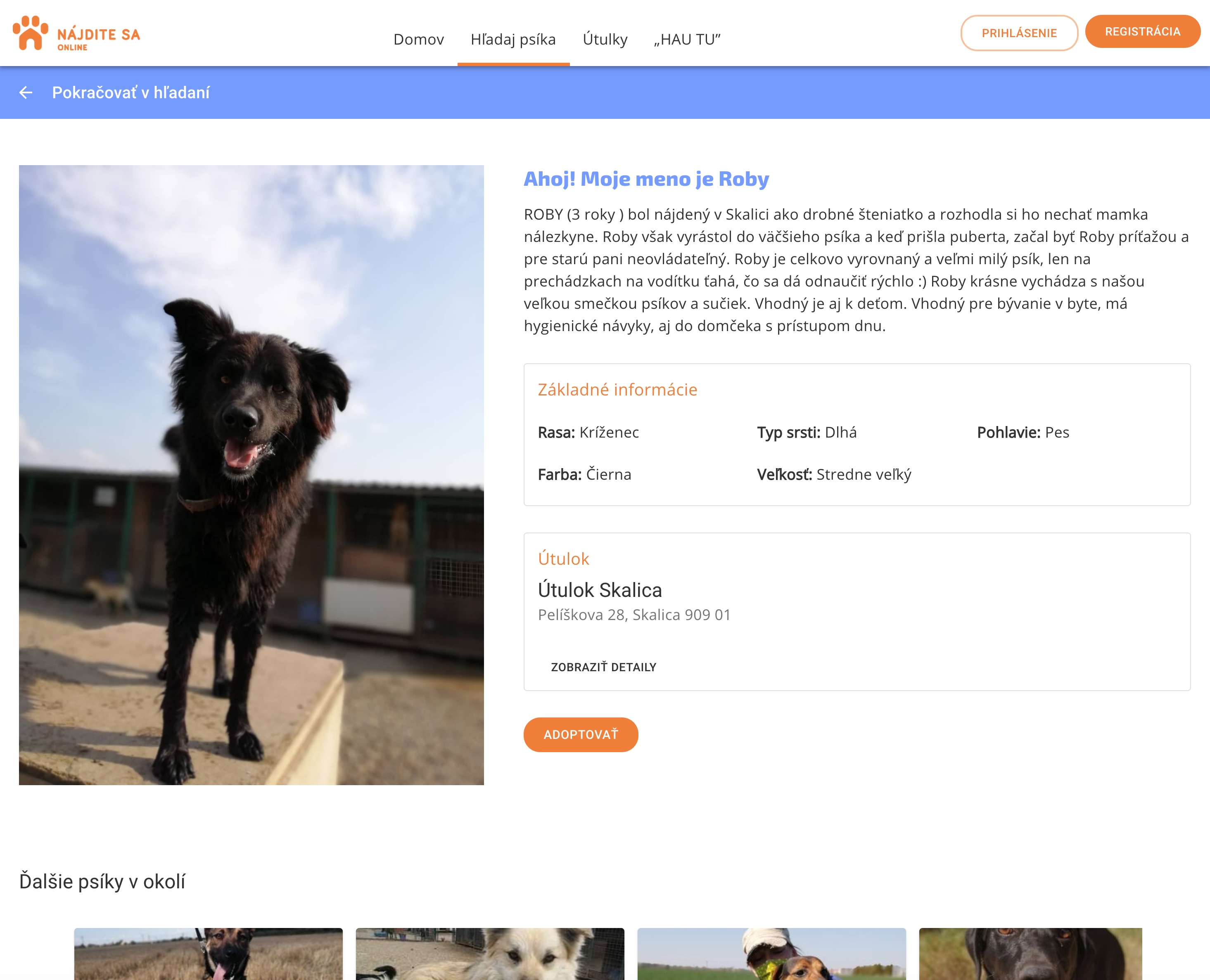 Náhľad detailov o psíkovy na portáli najditesa.online